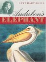 Audubon's Elephant  The Story of John James Audubon's Epic Struggle to Publish the 'Birds of America