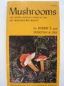 Mushrooms and Other Common Fungi of the San Francisco Bay Region