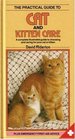 Guide to Cat  Kitten Care