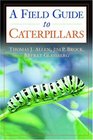 Caterpillars in the Field and Garden A Field guide to the Butterfly Caterpillars of North America