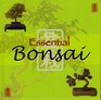 Essential Bonsai (Essential Bonsai)