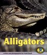 Alligators