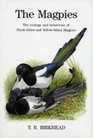 The Magpies The Ecology and Behaviour of BlackBilled and YellowBilled Magpies