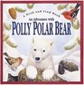 Adventure With Polly Polar Bear (Peek and Find (PGW))