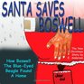Santa Saves Boswell How Boswell The Blueeyed Beagle Found A Home