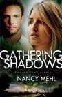 Gathering Shadows (Finding Sanctuary, Bk 1)
