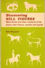 Discovering hill figures