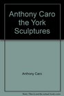 Anthony Caro the York Sculptures