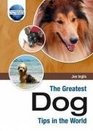 The Greatest Dog Tips in the World