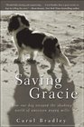 Saving Gracie How One Dog Escaped the Shadowy World of American Puppy Mills