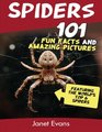 Spiders 101 Fun Facts  Amazing Pictures