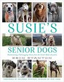 Susie's Senior Dogs