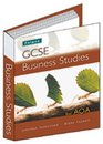 GCSE Business Studies Teacher Support File  CDROM  AQA