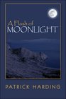 A Flash of Moonlight