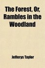 The Forest Or Rambles in the Woodland
