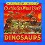 Can You See What I See"" Dinosaurs (Can You See What I See?)