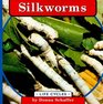 Silkworms