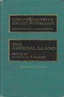 Adrenal Gland1/E