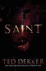 Saint (Paradise, Bk 2)