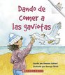 Dando De Comer a Las Gaviotas / Feeding the Gulls