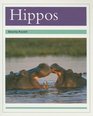 Hippos (PM Animal Facts: Animals in the Wild)