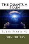 The Quantum Brain Beginnings