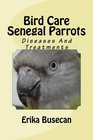 Bird Care Senegal Parrots Diseases And Treatments