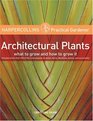 HarperCollins Practical Gardener Architectural Plants What to Grow and How to Grow It