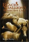 The Black Stallion's Blood Bay Colt (Black Stallion, Bk 6)