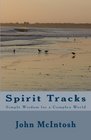 Spirit Tracks Simple Wisdom For A Complex World