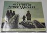 The Story of Three Whales A True Adventure