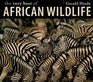 The Very Best of African Wildlife