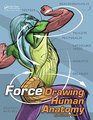 Drawing Human Anatomy with FORCE