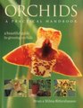 Orchids A Practical Handbook A beautiful guide to growing orchids