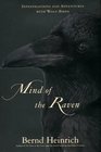 Mind of the Raven Investigations and Adventures With WolfBirds