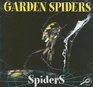 Garden Spiders