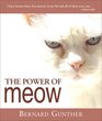 The Power of Meow from rumi to me