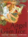 Angel in a Gum Tree