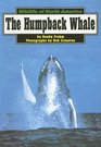 The Humpback Whale