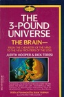 The 3Pound Universe