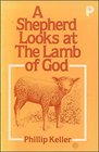 A SHEPHERD LOOKS AT THE LAMB OF GOD