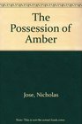 The Possession of Amber