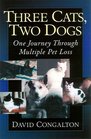 Three Cats Two Dogs One Journey Through Multiple Pet Loss
