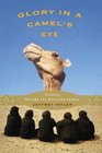 Glory in a Camel's Eye  Trekking Through the Moroccan Sahara