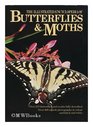 The illustrated encyclopedia of butterflies  moths