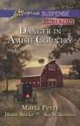 Danger in Amish Country Fall from Grace / Dangerous Homecoming / Return to Willow Trace