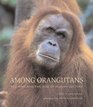 Among Orangutans  Red Apes and the Rise of Human Culture