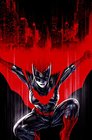 Batwoman Vol 3 The Fall of the House of Kane