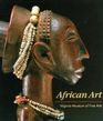 African Art Virginia Museum of Fine Arts