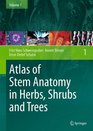 Anatomy of Stems in Herbs Shrubs and Trees